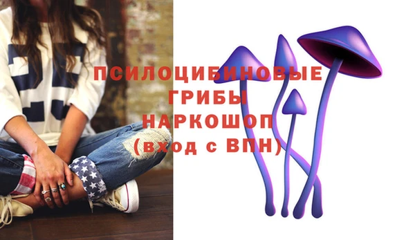 экстази Алексин